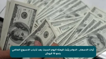 ثبات الأسعار.. الدولار يثبت قيمته اليوم السبت بعد تذبذب الأسبوع الماضي بنحو 10 قروش